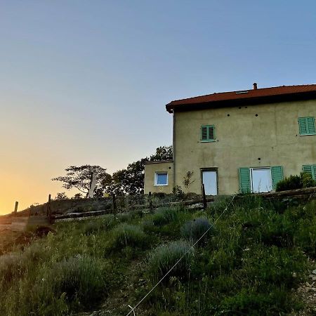 Agriturismo Cascina Cornelli Сасселло Екстер'єр фото