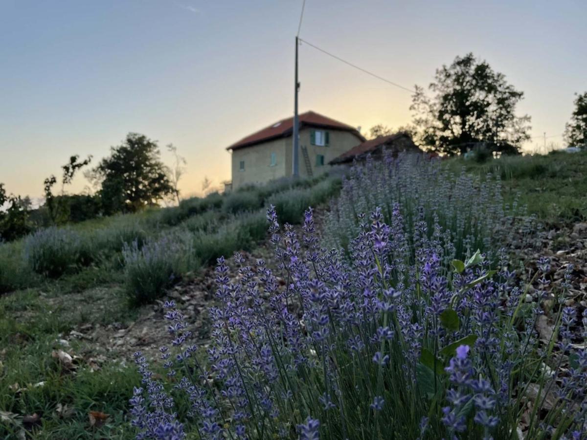 Agriturismo Cascina Cornelli Сасселло Екстер'єр фото